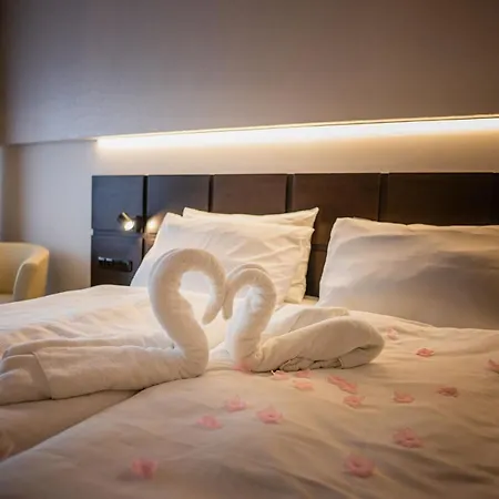 Hotel Wellness 4*