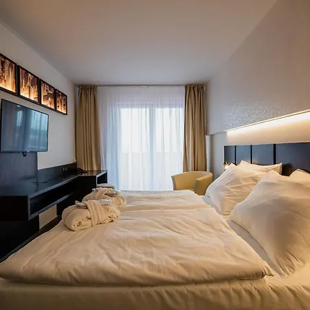 Wellness Hotel 4*