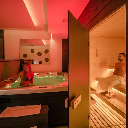 Wellness 4* Frymburk