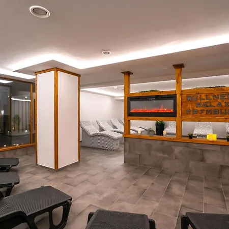 Wellness 4*