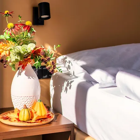Wellness 4* Frymburk
