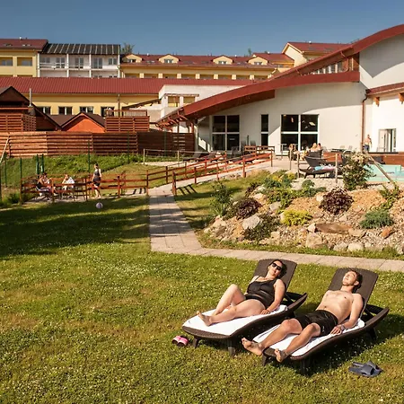 Wellness 4*