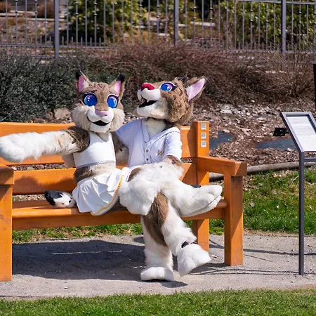 Wellness פרימבורק