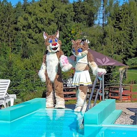 Отель Wellness 4*