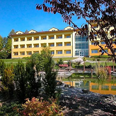 Wellness Hotel 4*