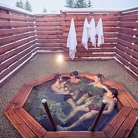 Wellness 4*