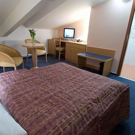 Wellness Hotel 4*