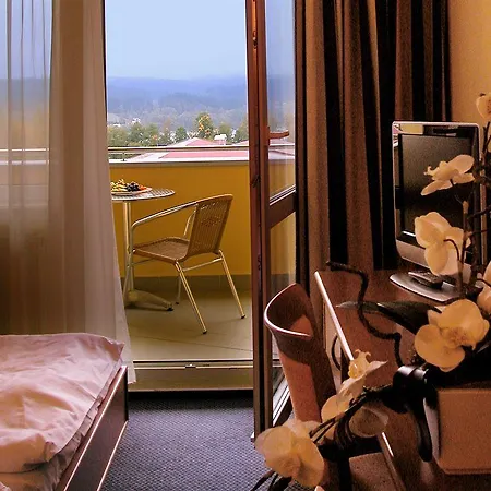 Wellness 4*