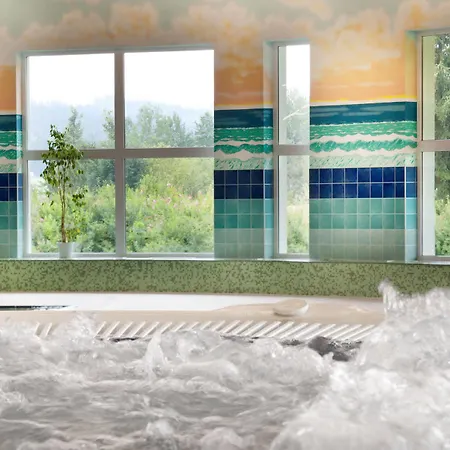 Отель Wellness 4*