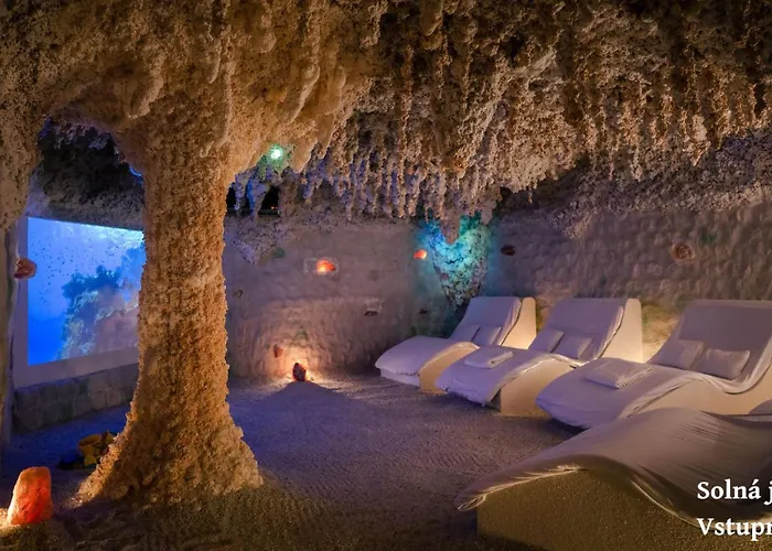 Wellness 4* Frymburk