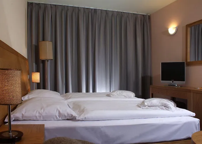 Wellness Hotel Frymburk