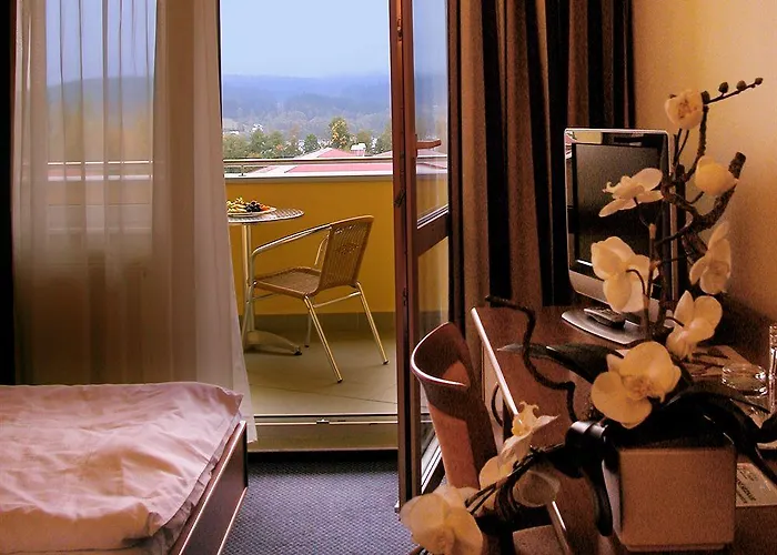 Wellness 4*