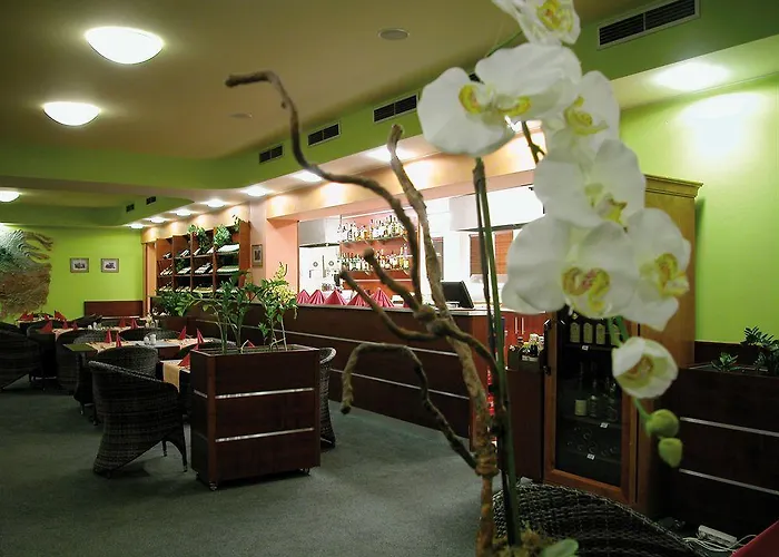 Wellness Hotel Frymburk